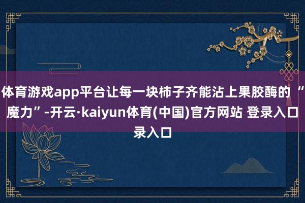 体育游戏app平台让每一块柿子齐能沾上果胶酶的 “魔力”-开云·kaiyun体育(中国)官方网站 登录入口