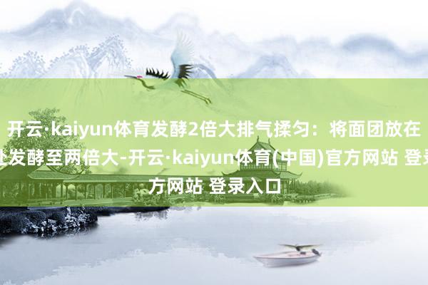 开云·kaiyun体育发酵2倍大排气揉匀：将面团放在温柔处发酵至两倍大-开云·kaiyun体育(中国)官方网站 登录入口