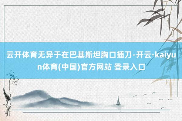 云开体育无异于在巴基斯坦胸口插刀-开云·kaiyun体育(中国)官方网站 登录入口