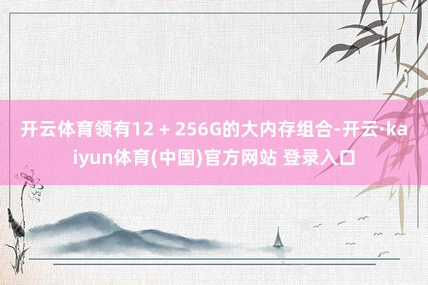 开云体育领有12 + 256G的大内存组合-开云·kaiyun体育(中国)官方网站 登录入口